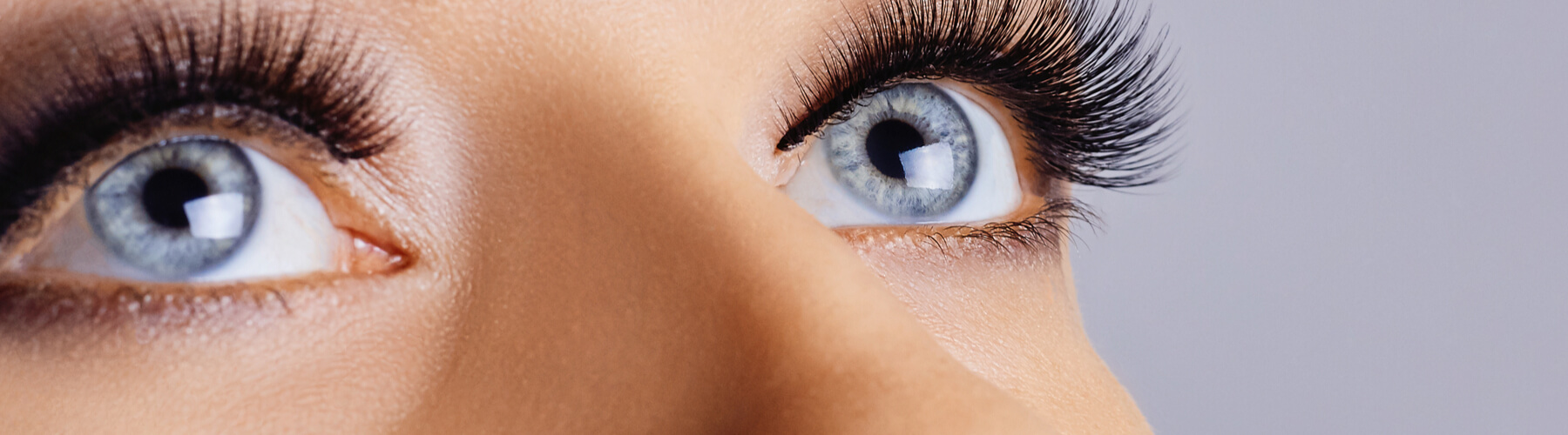 Woman eyes with long eyelashes and smokey eyes make-up, full or thick eyelashes