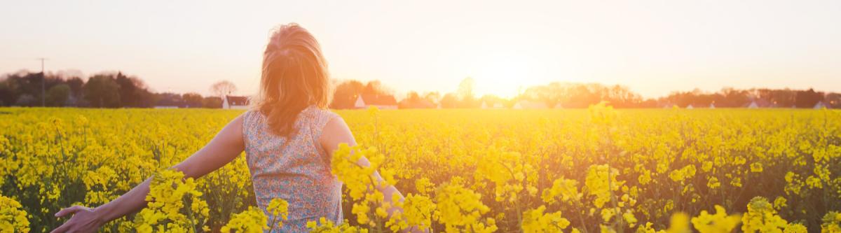 happy young woman enjoying summer in yellow field at sunset