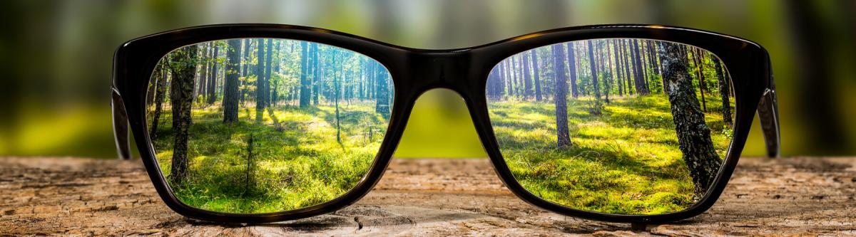 Glasses up against nature, clear view of sustainable efforts